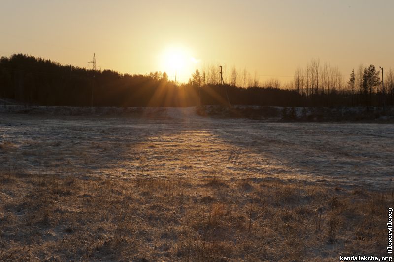 20111120-_DSC1043
