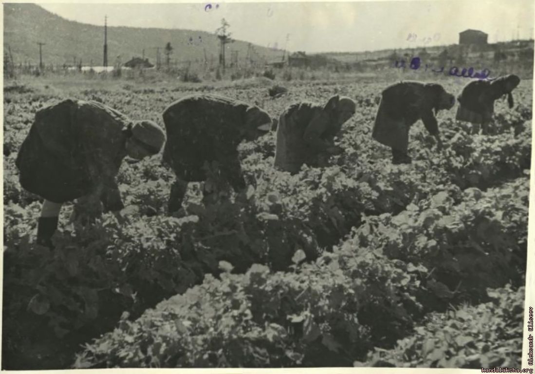 1941-44 - ������ ��������� � �������  ���������.

- �������� ������� ����������
- ���� �� �