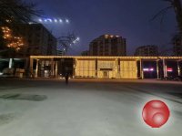 Новогодние ёлки / композиции и оформления / Установка
