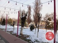 Освещение неоном. Гирляндами. Быстро. Качественно!